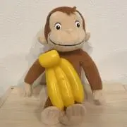 ぽんの画像