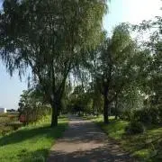 Forの画像