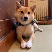 Kumi@断捨離中の画像