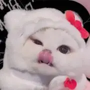 餅の画像