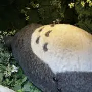 わらし