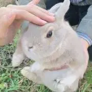しんちゃんの画像