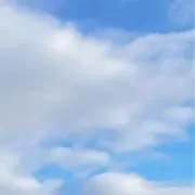 りぃの画像