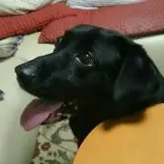 かおり