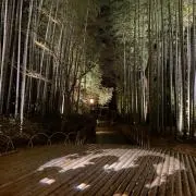 yatoの画像