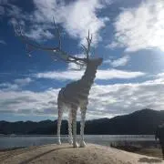 さちの画像