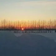yumihaの画像