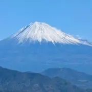 てつこ❥❥プロフ必読⁠⁠の画像