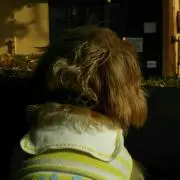 シナモン、チョコタンの画像
