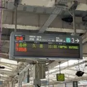 はちの画像