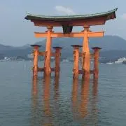 りむ