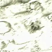 ざばざばの画像