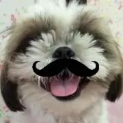 ☆いちご ☆の画像