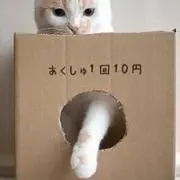 ＊ちろる＊の画像