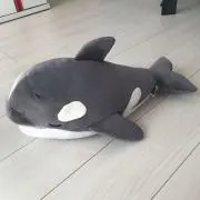 シャチまる(即購入OK!プロフ必読)の画像