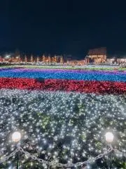 ウルの画像