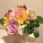ちぃの画像