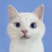kanaの画像