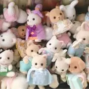 きなこ