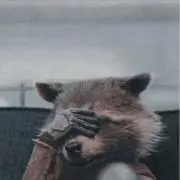 GOOSEの画像