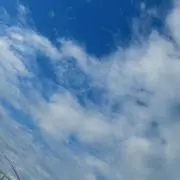 ririの画像