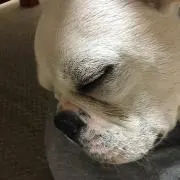 太郎ちゃん