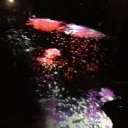 sinの画像