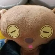 ぶー