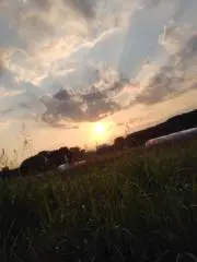 hina.値下げ可能！！の画像