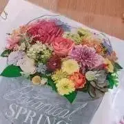 macchaの画像