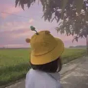 37の画像
