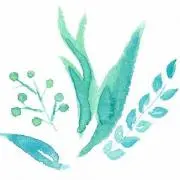 le cuirの画像