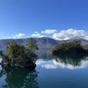 azuimの画像