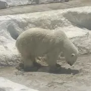 みさの画像