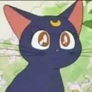 ®️:)の画像
