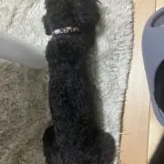 なかの画像