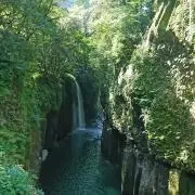 ぼ～の画像