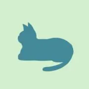 KIKIKIの画像