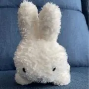 ててざうるすの画像