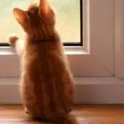 なっちゃん