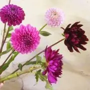 mi ☺︎の画像