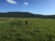 みつぽしの画像