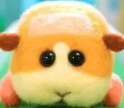 モル☆の画像