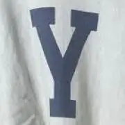 yの画像