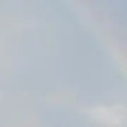 ココの画像