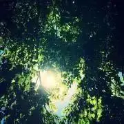 fusataba  事前にご連絡を^_^の画像