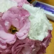 いぶ(_ _).oO
