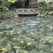 kuutiroの画像