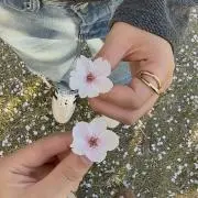 Bireの画像