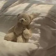 Rの画像